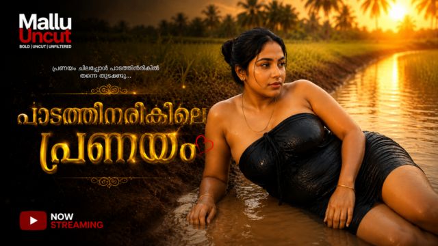 പാടത്തിനരികിലെ പ്രണയം